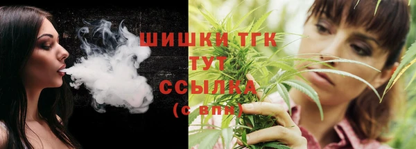 сатива Балахна