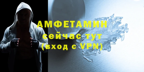 сатива Балахна