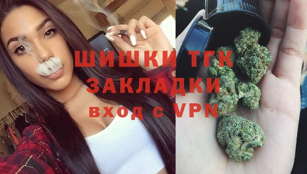 дживик Арсеньев