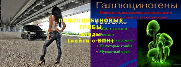 сатива Армянск
