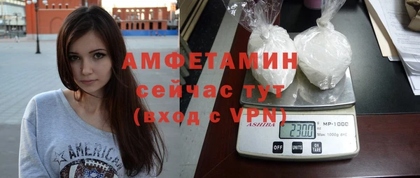 сатива Балахна
